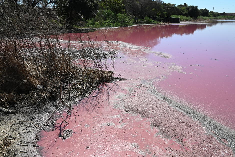 Au Paraguay, une photo et Leonardo DiCaprio sauvent un lac pollué