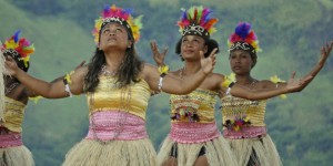 En Papouasie, un chantier met en péril la forêt des Femmes