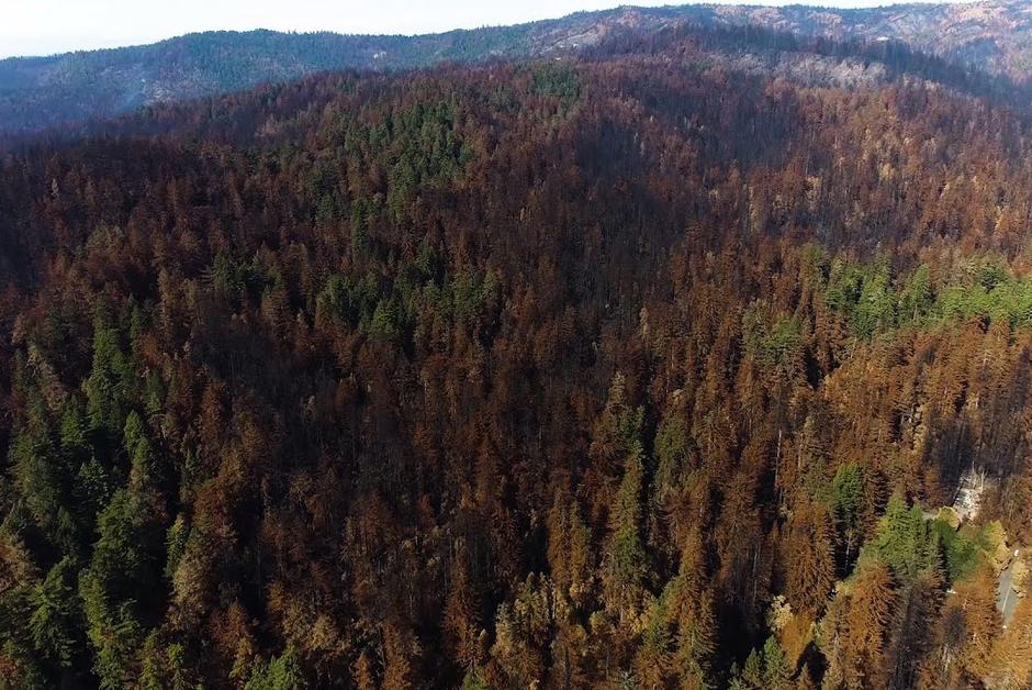 En Californie, un drone filme l’ampleur des dégâts des feux de forêt de l’été