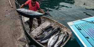 Surpêche dans l’océan Indien : l’UE accusée de “néocolonialisme”