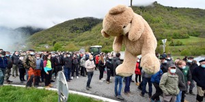 Dernière chance pour Goïat, un “ours à problème” dans les Pyrénées