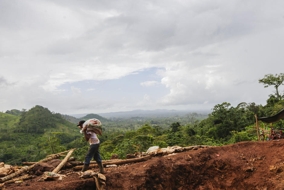 Au Nicaragua, la fièvre de l’or menace une réserve écologique 