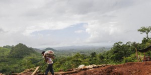 Au Nicaragua, la fièvre de l’or menace une réserve écologique 