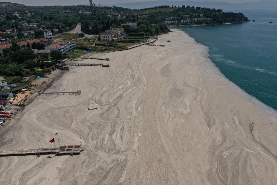 La “morve de mer”, symptôme d’une catastrophe écologique en mer de Marmara