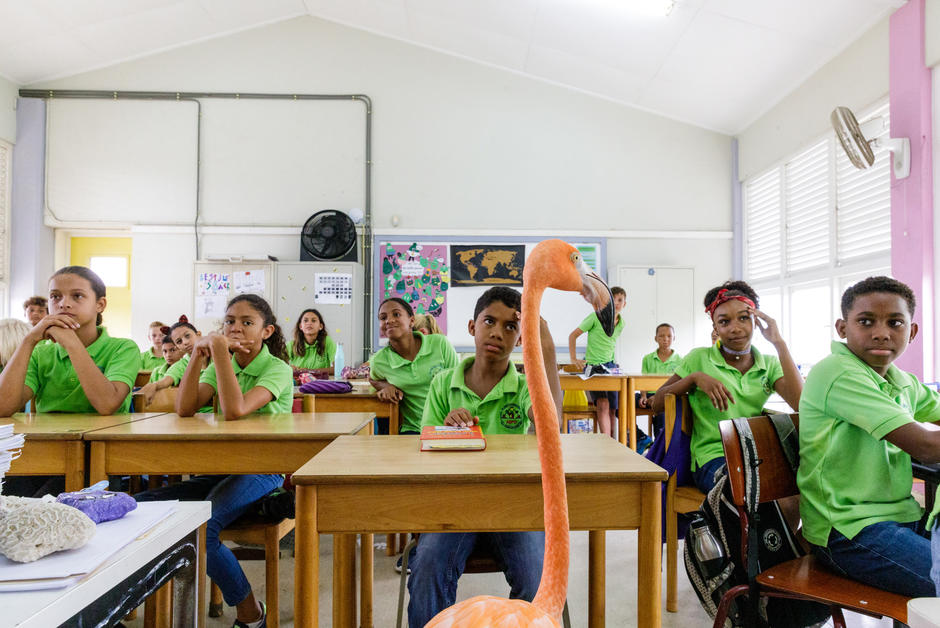 À Curaçao, un flamant rose sensibilise les élèves à la protection de la nature