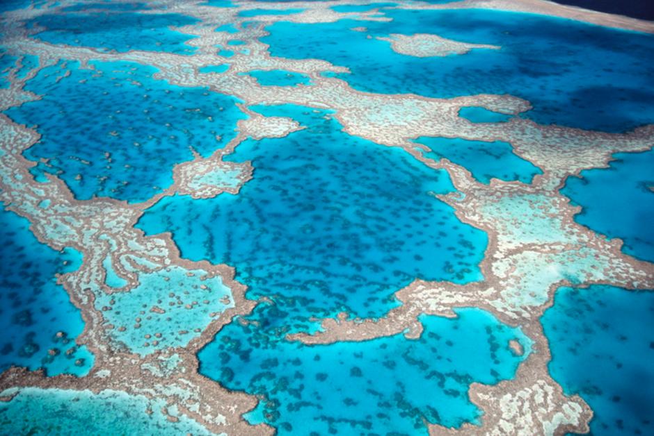 Grande Barrière de corail : l’Unesco plie devant l’Australie
