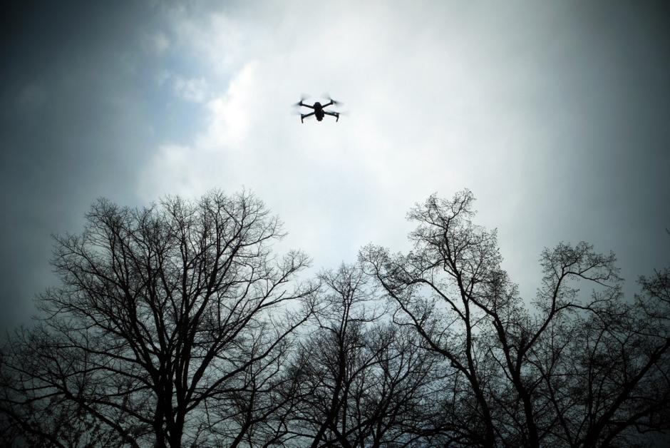 Faisons comme les Français, protégeons la faune contre les drones !