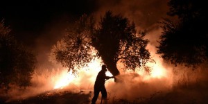 En Grèce, l’héroïque bataille contre le feu des habitants d’Eubée