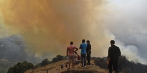 L’Algérie doit tirer les leçons des incendies
