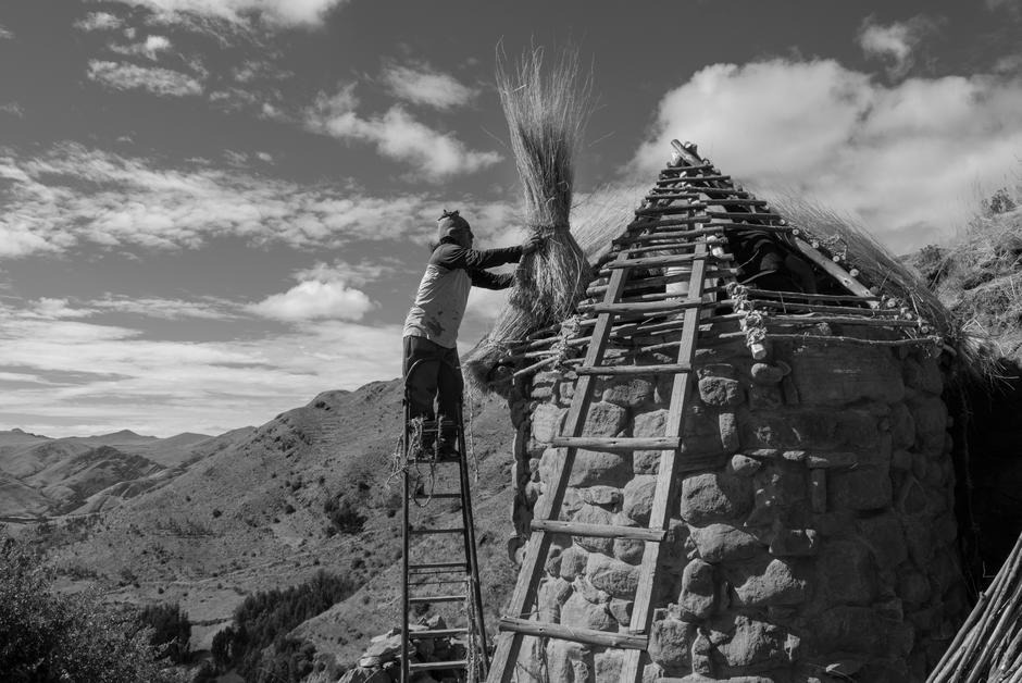 Climat : au Pérou, le génie ancestral des Incas au secours des récoltes 