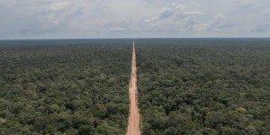 Dans l’Amazonie brésilienne, la menace d’une route symbole de désenclavement