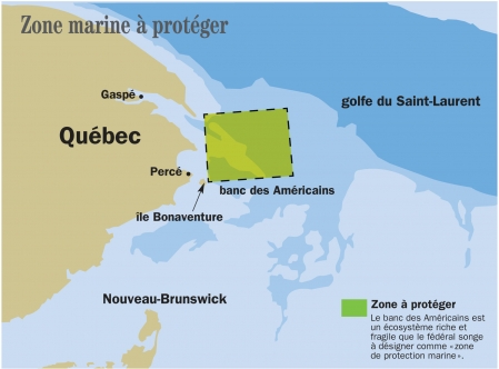 Pétrole: Québec lorgne une zone fragile du golfe