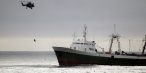 La pêche illégale s’est intensifiée, affirme la FAO