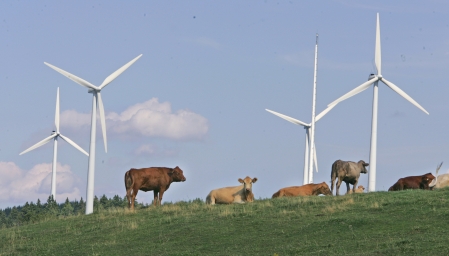 Québec mise sur l’éolien malgré le marché défavorable