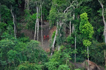 L’Amérique latine reboisera près de 20 millions d’hectares