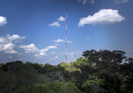 En Amazonie, une «Tour Eiffel» à l’affût des changements climatiques