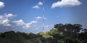 En Amazonie, une «Tour Eiffel» à l’affût des changements climatiques