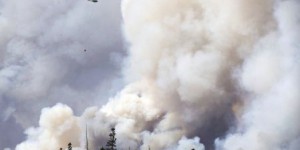 Le climat est de plus en plus propice aux feux de forêt