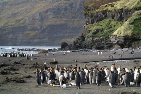Climat: mission inédite en Antarctique pour 55 scientifiques de 30 pays