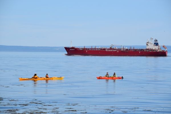 Ottawa injecte 1,5 milliard pour la protection des océans