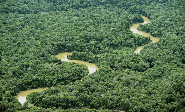 La déforestation en Colombie a augmenté de 44 % en 2016
