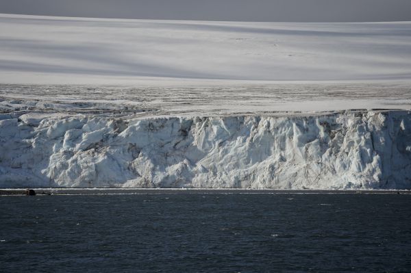 Un réchauffement d’un seul degré bouleverserait l’écosystème de l’Antarctique
