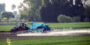 Les pesticides «néonics» menacent les fondations de la biodiversité