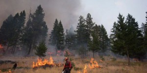 Les feux de forêt dominent la liste des événements météo les plus marquants de 2017