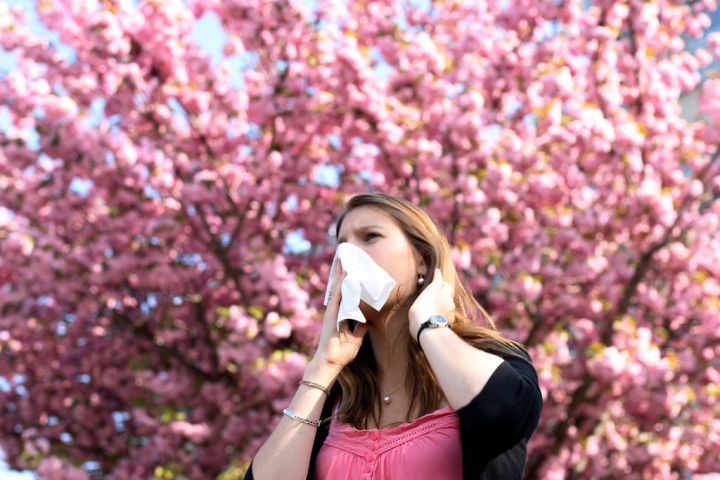 Allergies : attention au retour des pollens