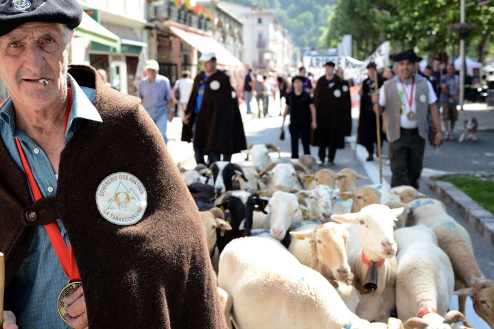 Ariège : des milliers de manifestants contre les animaux sauvages
