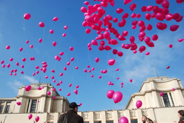 VIDEO. Reims : des écologistes portent plainte pour un lâcher de ballons
