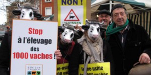 Ferme des «1000 vaches» : l'exploitation a démarré 