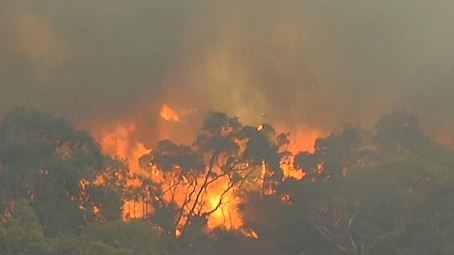 Incendies en Australie : 40.000 personnes évacuées à Adelaïde