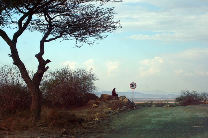 Tanzanie : des Masaï tuent six lions qui ont attaqué leur bétail