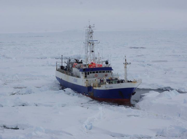 Antarctique : un brise-glace américain libère un chalutier prisonnier des glaces