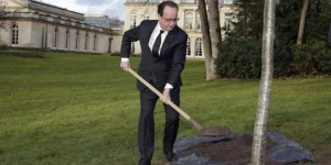VIDEO. Après huit heures au Salon de l'agriculture, Hollande plante un chêne à l'Elysée