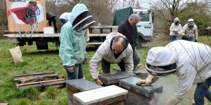 Ariège : élan de solidarité pour repeupler les ruches