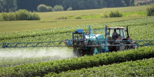 La moitié des aliments européens contient des traces de pesticides