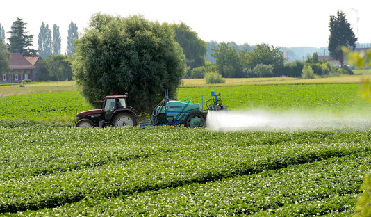 Pesticides toxiques : la condamnation de l'Etat à indemniser un agriculteur annulée