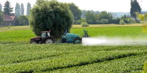 Pesticides toxiques : la condamnation de l'Etat à indemniser un agriculteur annulée
