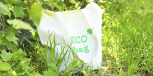 Bioplastiques : une alternative au sac de caisse jetable ?