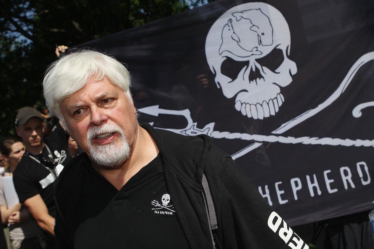Sea Sheperd : « Il y a beaucoup d'argent à se faire en détruisant les océans », regrette Paul Watson