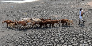 Climat : menaces sur la planète avec le retour d'El Nino 