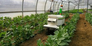 Salon Les Terrenales : robots, satellites et gadgets au service d’une agriculture propre