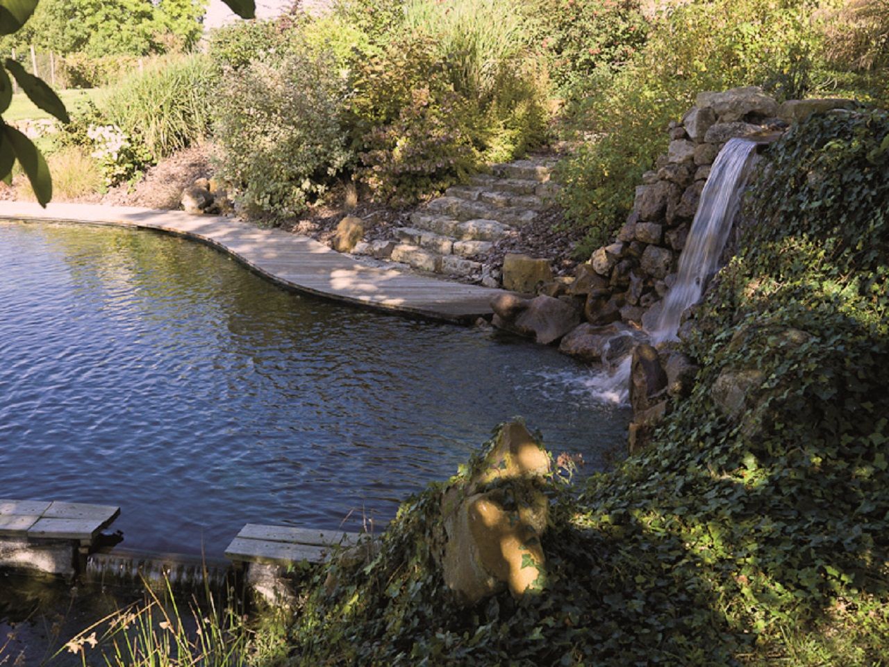 Les piscines naturelles : révolution écologique ou tendance passagère ?
