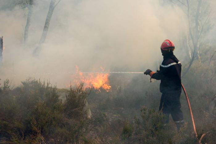 Vague de chaleur : alerte incendie maximale en Espagne