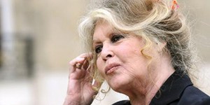 Lion Cecil : Brigitte Bardot demande une punition exemplaire