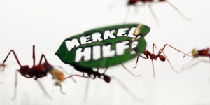 VIDEO. Allemagne : 500 000 fourmis «manifestent» pour sauver l'Amazonie 