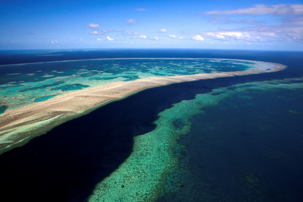 Australie : la Grande barrière de corail, un patrimoine en danger ?