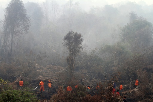 COP21 : L'Indonésie s'engage à réduire de 29% d'ici 2030 ses émissions